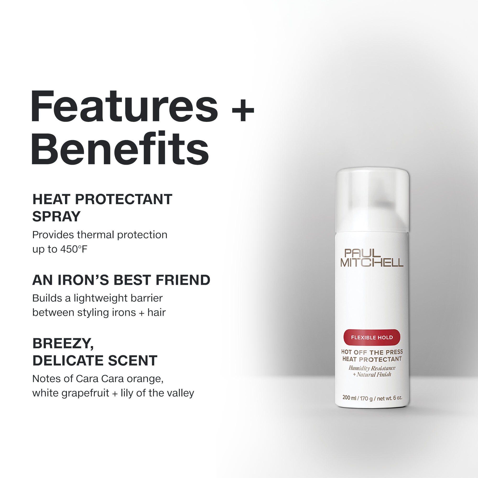 Paul Mitchell Styler DUO