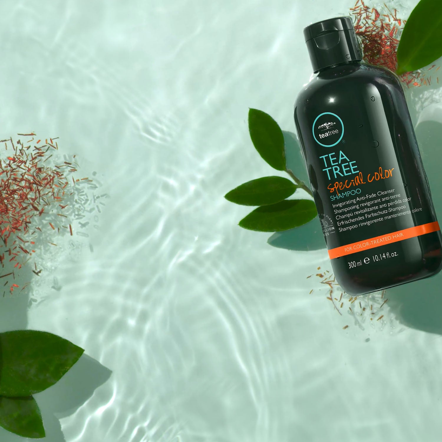 Shop Tea Tree | 365 Salon Group | Global Hair Care Brands